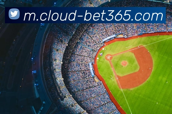 bet365平台生态图