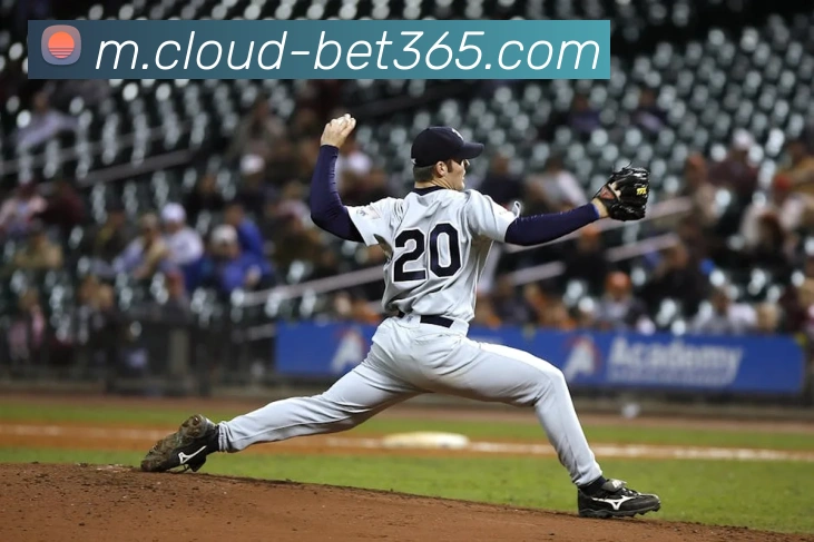 bet365全站App bet365全站App